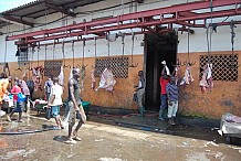 La STIB prend le contrôle de l'abattoir d'Abidjan pour sa modernisation.